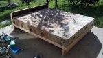 IMG_20170616_075747.jpg