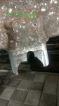 IMG_20170626_140619.jpg