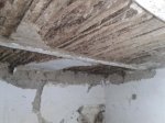 20170628_205344.jpg