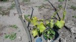 20170709_132955.jpg