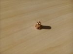 IMG_20170719_084212.jpg