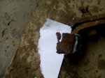 IMG_20170807_164915.jpg