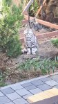 20170702_184822.jpg