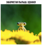 upload_2017-8-23_14-57-14.png