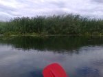 Фото3684.jpg