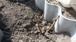 20170425_104017.jpg