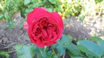 20170607_063023.jpg