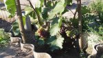 20170803_075043.jpg