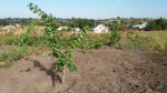 20170901_092537.jpg