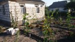 20170803_075324.jpg