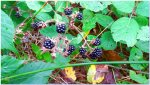 20170902_154233.jpg
