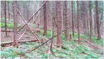 20170902_160539.jpg