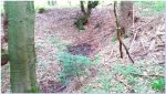 20170902_160738.jpg