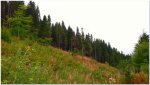 20170902_165417.jpg