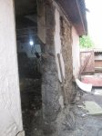 IMG_3485.jpg