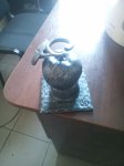 IMG_20170919_173817.jpg
