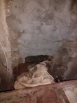 IMG_20170919_225016418.jpg