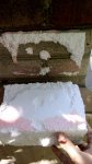 IMG_20170922_115853.jpg