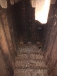 IMG_20170922_200926282.jpg