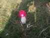 DSCF0077.jpg