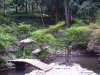 Фото0050-m.jpg