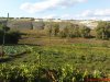 DSC01149.jpg