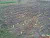 DSC01153.jpg