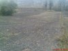 DSC01154.jpg