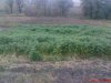 DSC01155.jpg