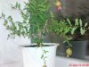 DSC01159.jpg