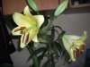 DSCF0275.jpg
