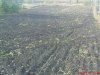 DSC01167.jpg