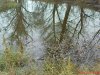 DSC01183.jpg