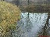 DSC01184.jpg