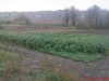 DSC01157.jpg