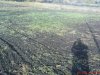 DSC01169.jpg