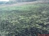 DSC01170.jpg