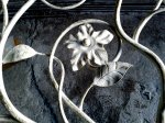 Фото-0141.jpg