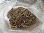 DSCN9153.JPG
