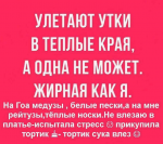 upload_2017-10-12_12-3-26.png