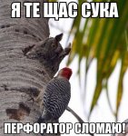 Cx9k2DAXgAAm6Jx.jpg