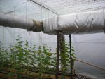 DSCN4792.JPG