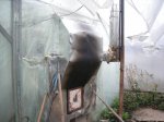 DSCN4796.JPG