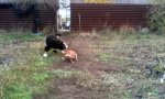 IMG_20171105_145435.jpg