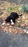 IMG_20171102_073558.jpg