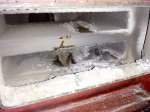 IMG_20171126_115823.jpg