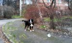 IMG_20171202_090350.jpg