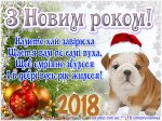 z-novim-rokom_2018.jpg