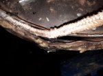20180102_142414.jpg
