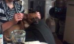IMG_20171231_180424.jpg